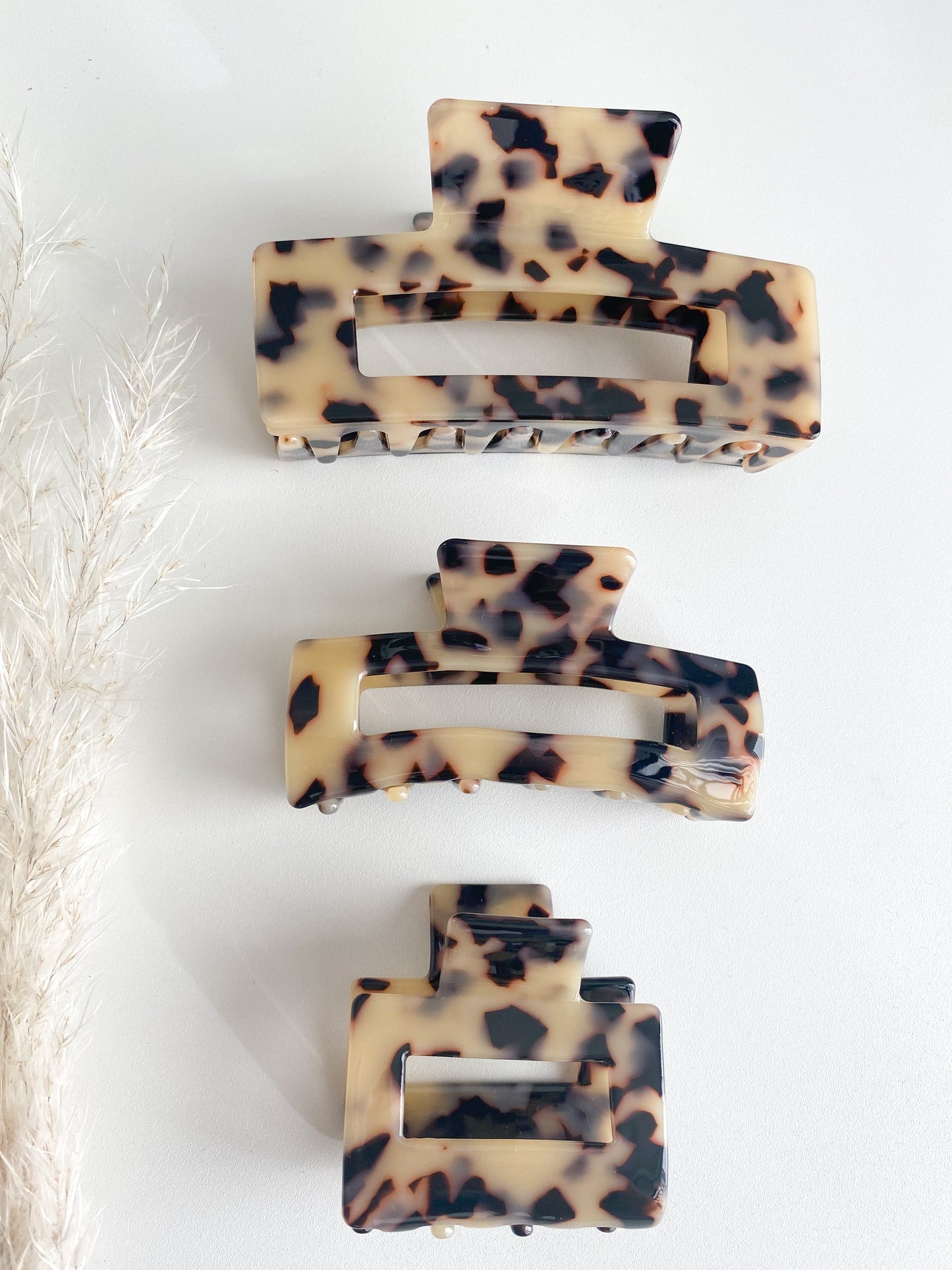 light tortoise clips
