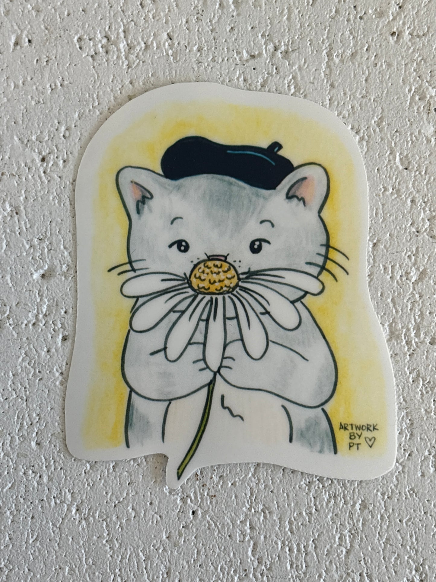 merci cat