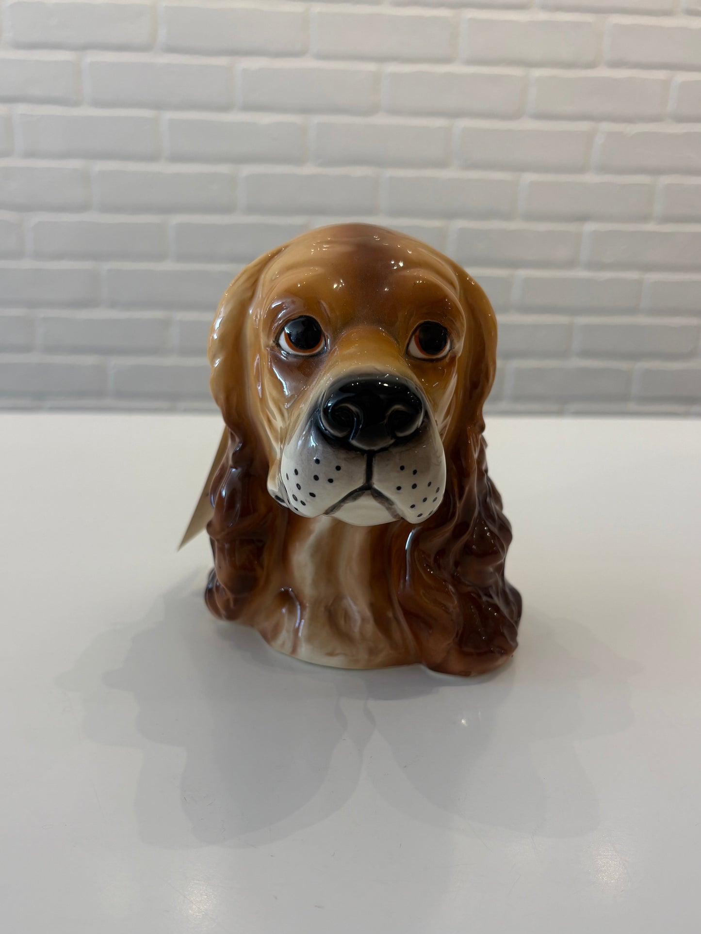 Vintage Spaniel Head Piggy Bank